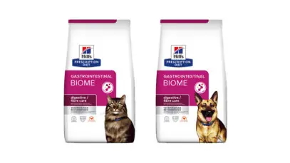 Cães e gatos