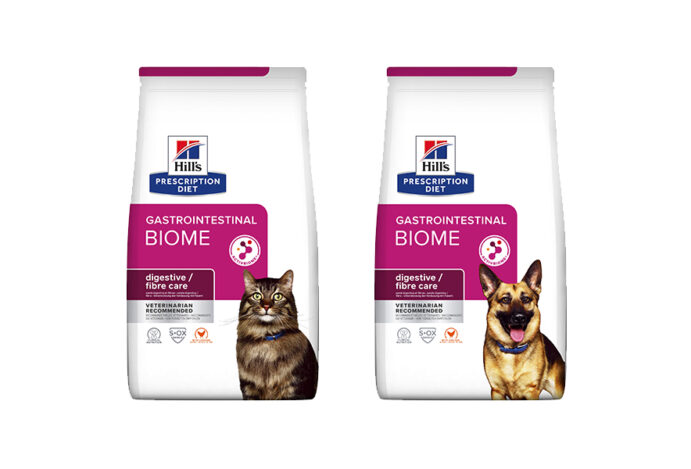 Cães e gatos