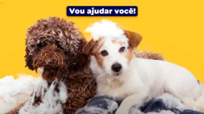 Cachorros