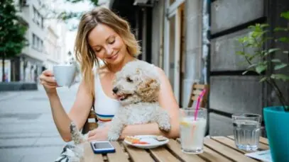 pet friendly