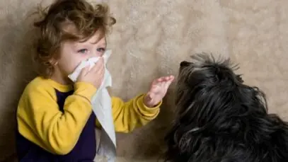 Alergia a cães