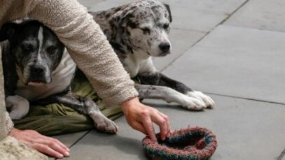 Design sem nome – 2023-07-24T150846.565 Sp invísivel