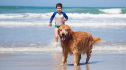 Design sem nome – 2023-07-24T153540.822 Férias