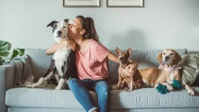 pets