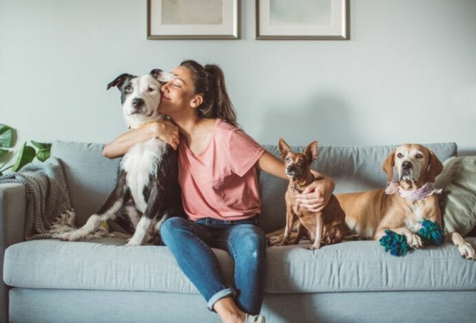 pets