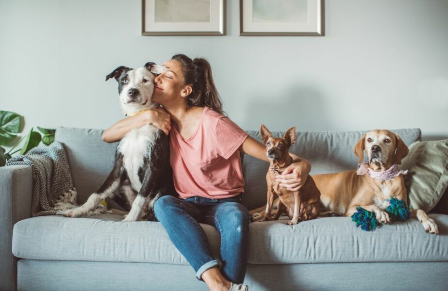 pets