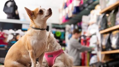 Design sem nome – 2023-07-31T150846.105 Varejo