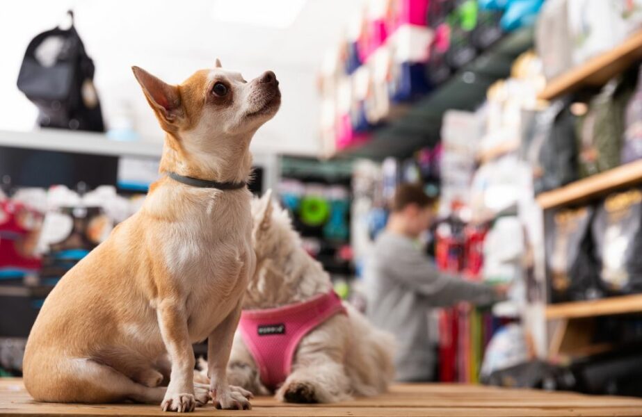 Design sem nome – 2023-07-31T150846.105