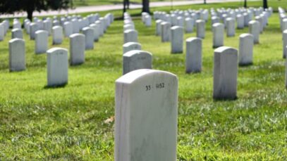 Design sem nome – 2023-07-31T151941.284 pets