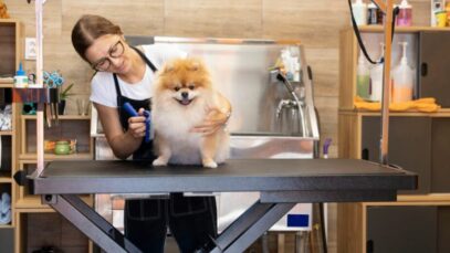 groomers