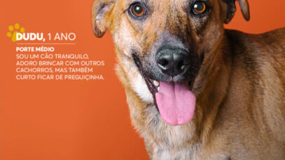 Evento-Adocao–6- (1) Golden Square