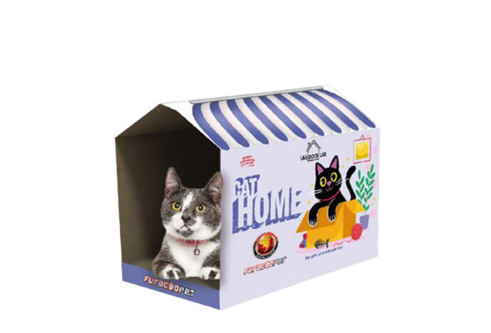 gatos