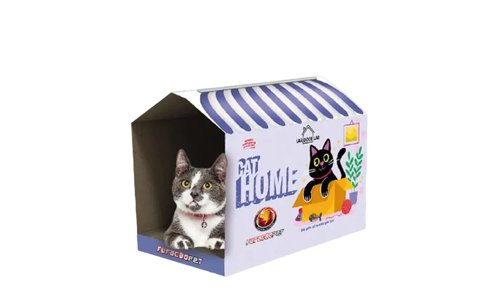 PORTAL-1-PhotoRoom.png-PhotoRoom gatos