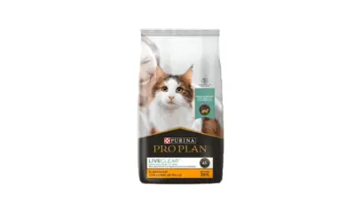 Nutrição sob medida para gatos