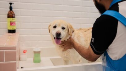 zBXSXy0O3vmn8WZYPDiZx4oNYFeV221TmATkxQdE5g2y055bb1rJcfYmfXfVaJI4B8ceCg29Bw58QPc8p938fxTKYF3_P-CHEMFbHyZGQ9MtTWEyc8idpbzUH_7lf3aBVN3BYqY6jqzzmf8_HCDkmOs Dia do Tosador