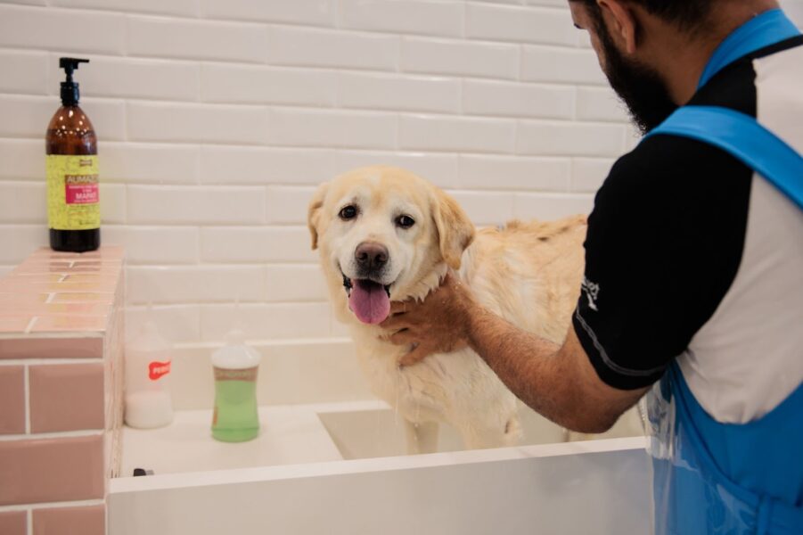 9==gM1oDOzYDMiRjOyJmLt92YuQXZ2RXZwFWbhJ3buFGcA9WYjFGZlJnOwITN0IzNwgTOyozZwpmL2kTMxcTN4UjMzYkMlUjMz8Gd1FmRyUCN3AzMx8VL0ETLfpTM