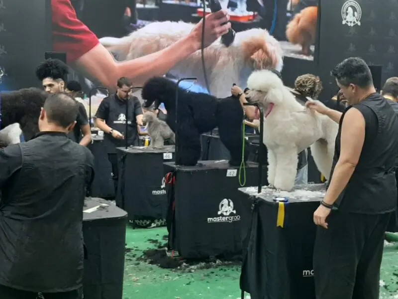 Pet South America mobiliza mais de 41 mil visitantes