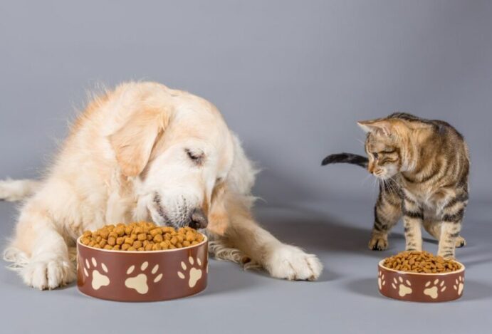 pet food