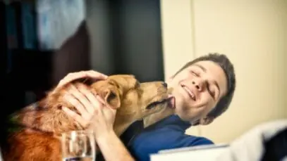 Líder do cachorro