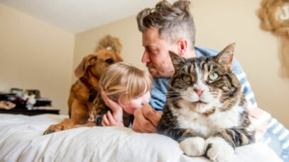 Pets não convencionais