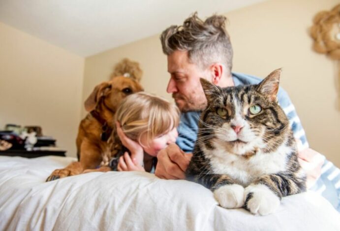 Pets não convencionais