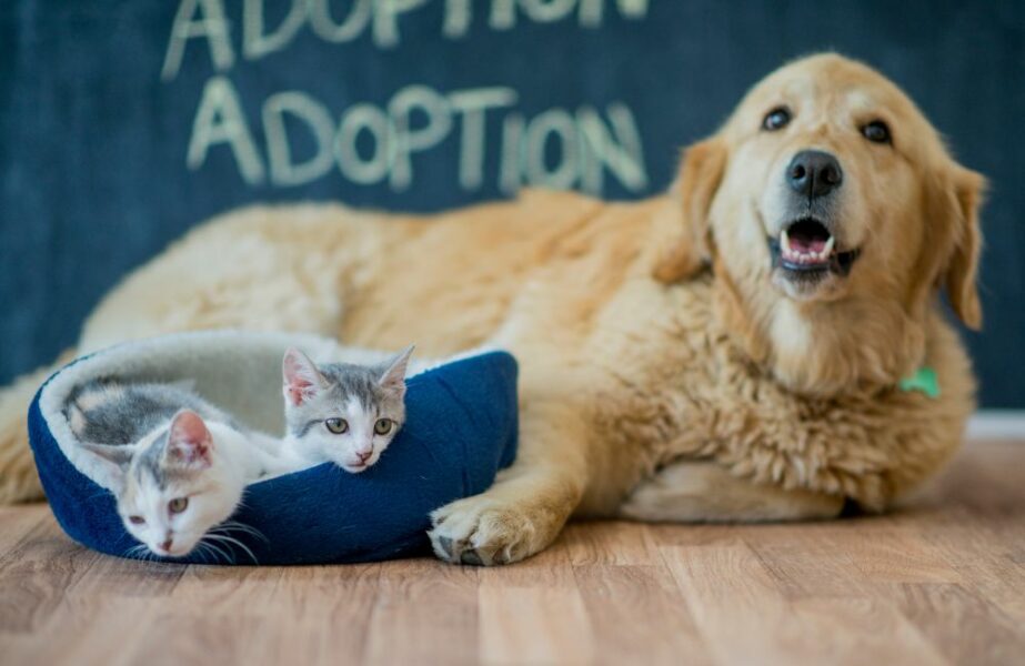 Design sem nome (68)