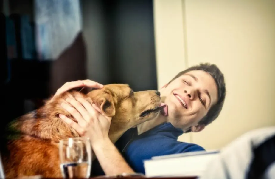 Design sem nome Líder do cachorro