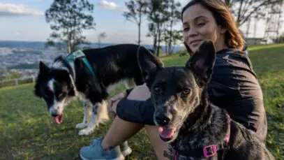 Lares com pets