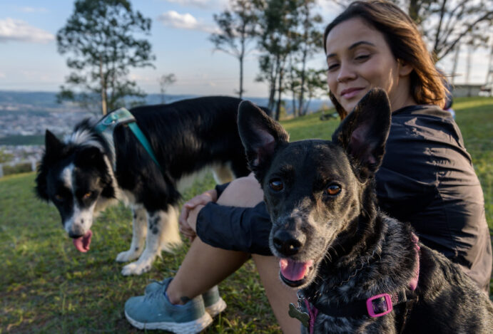 Lares com pets