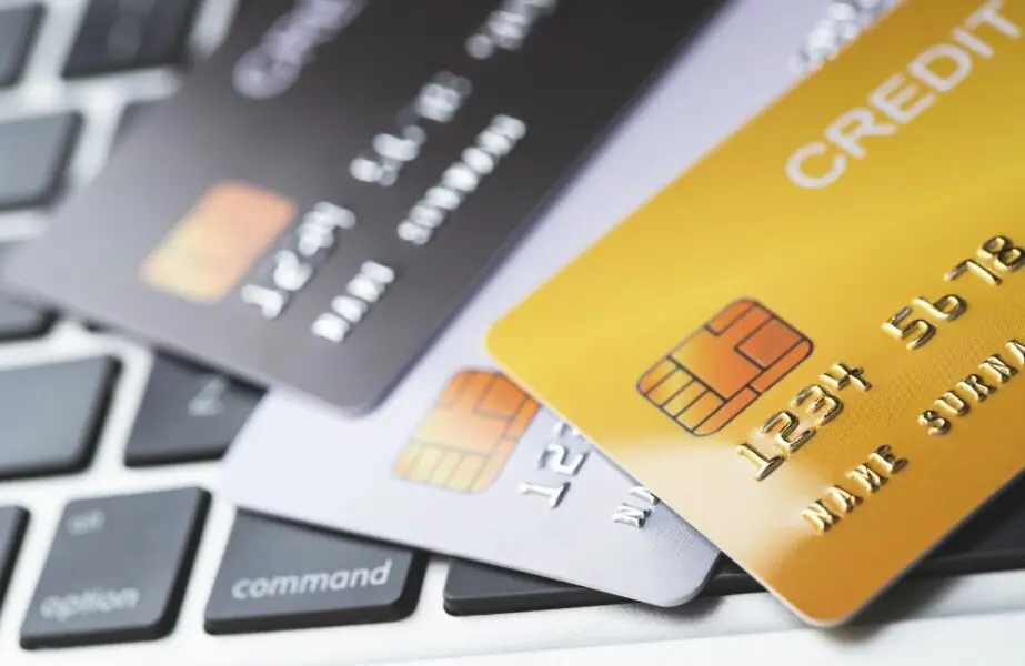 Mercado pet ganha linha de crédito da Caixa Econômica linha de crédito