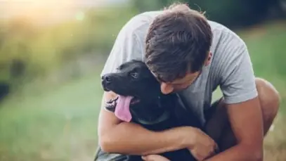 pets