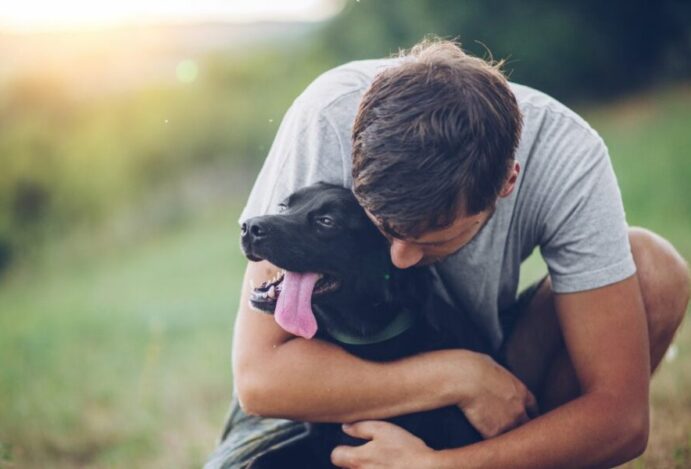 pets