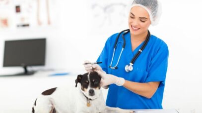 Design sem nome – 2023-09-12T145233.701 Medicina Veterinária