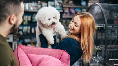 consumidores pet