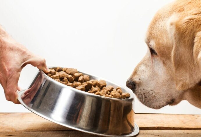 alimentos