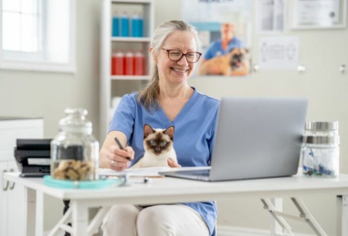 veterinários