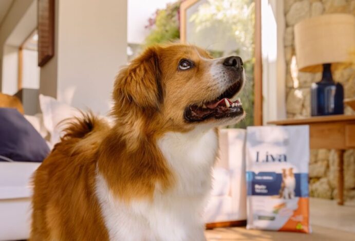 ração super premium