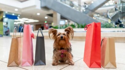 consumo em shoppings