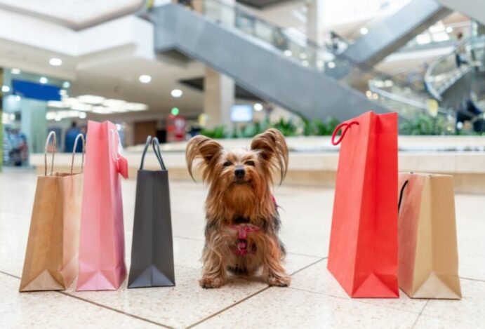 consumo em shoppings