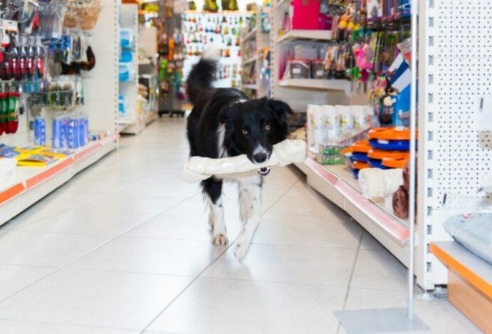 Distribuidora pet N+ investe também em rede de pet shops