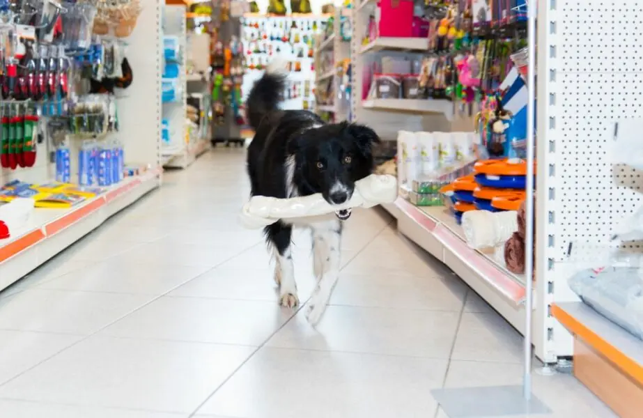 Design sem nome (28) Distribuidora pet N+ investe também em rede de pet shops