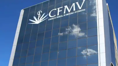 CFMV CFMV
