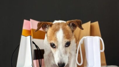 Varejo pet no Brasil deve vender R$ 37 bilhões em 2023