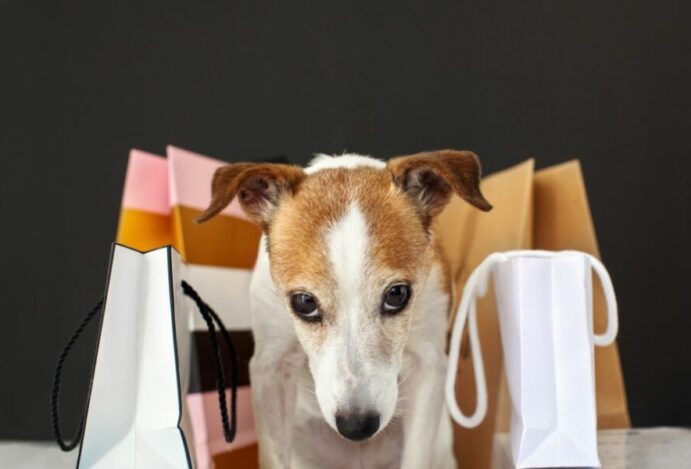 Varejo pet no Brasil deve vender R$ 37 bilhões em 2023