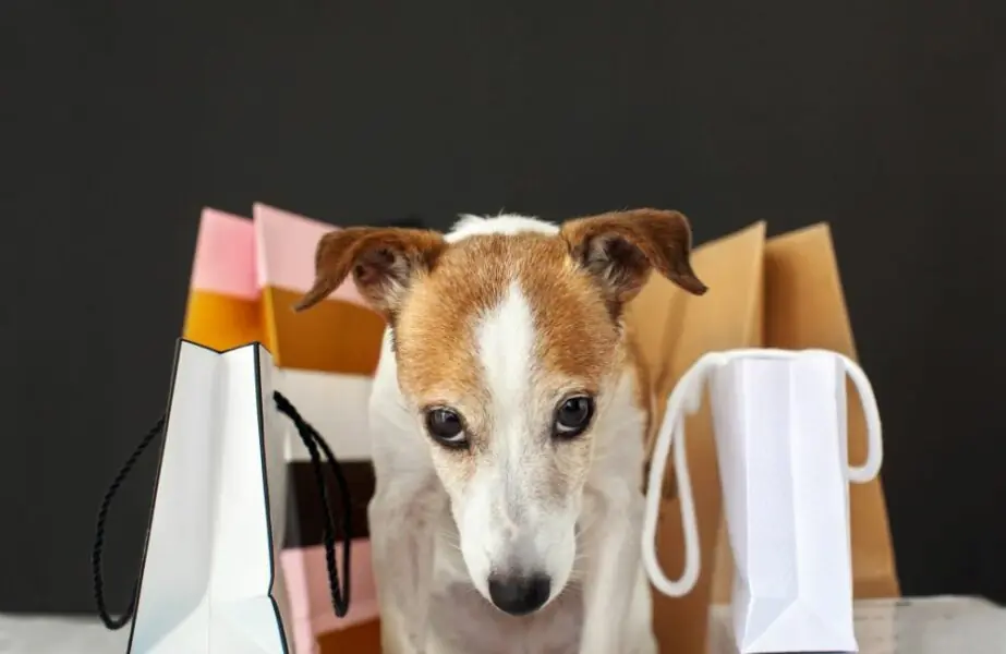 Design sem nome (1) Varejo pet no Brasil deve vender R$ 37 bilhões em 2023