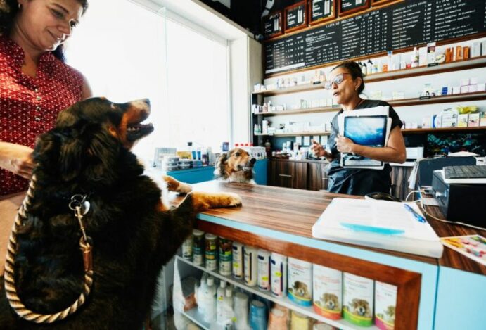 Mercado pet