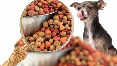 nutrição animal