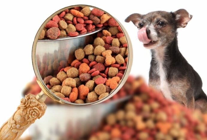 nutrição animal