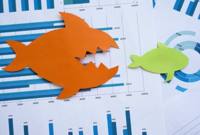 fusões e aquisições no mercado pet