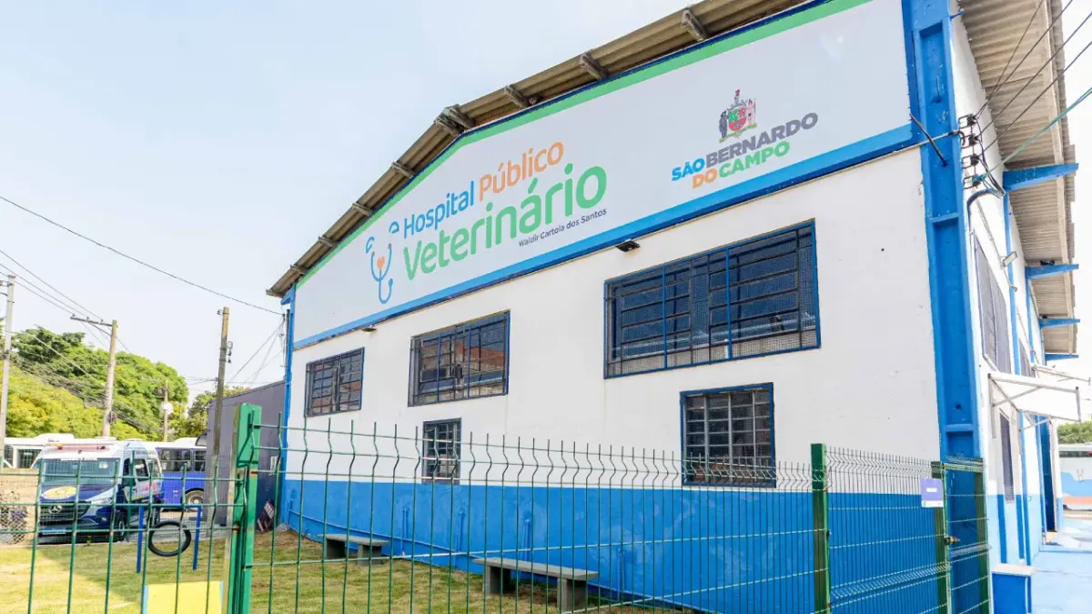 Hospital veterinário de SBC completa um mês